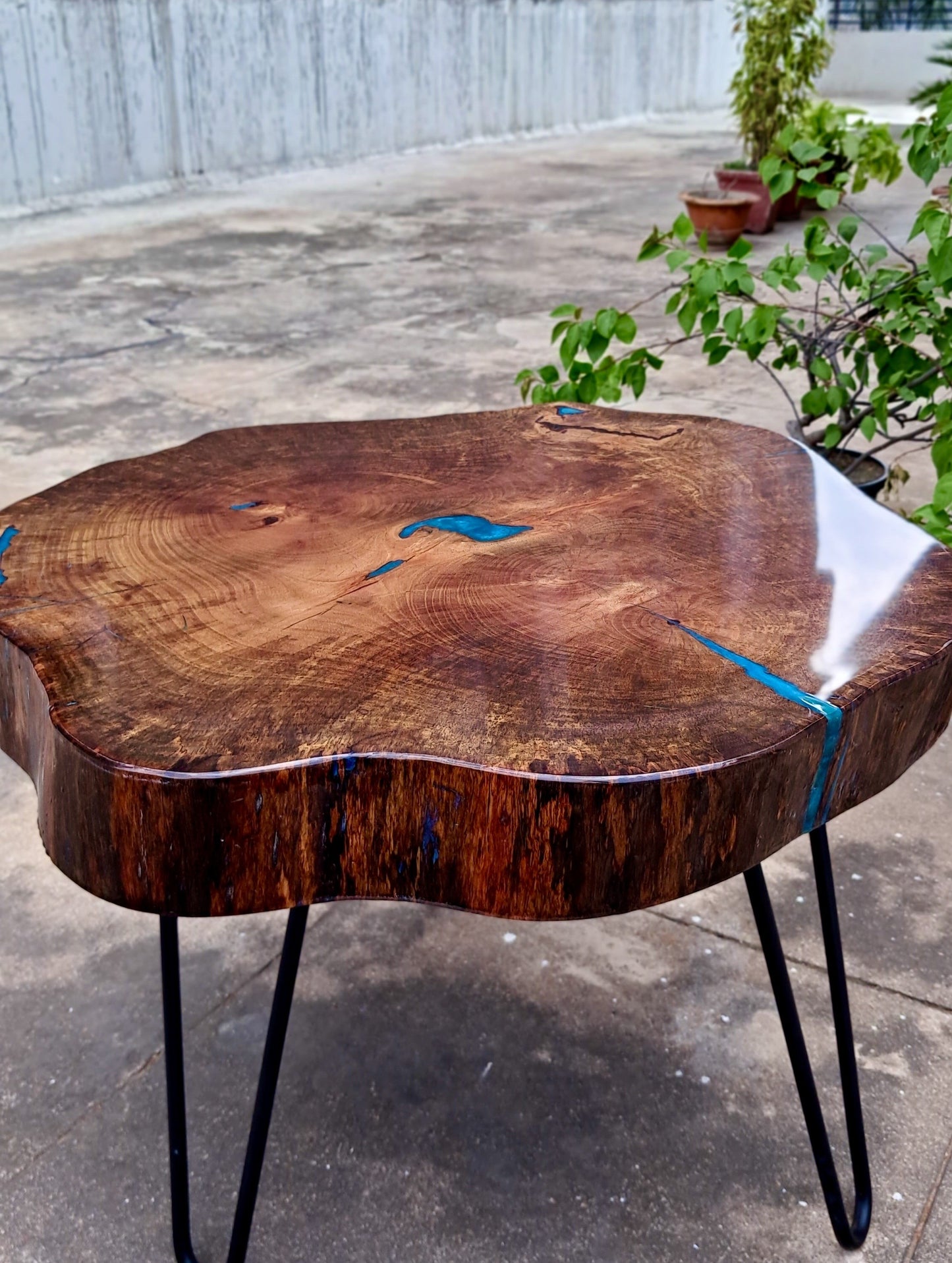 Cerulean Glance - Wooden Cookie Table