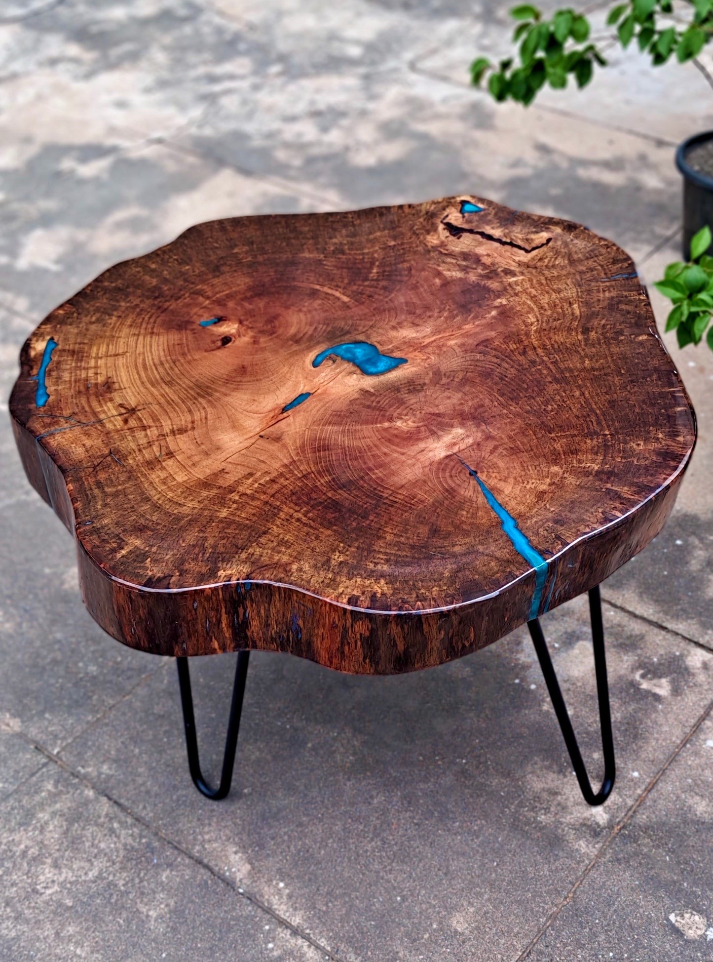 Cerulean Glance - Wooden Cookie Table