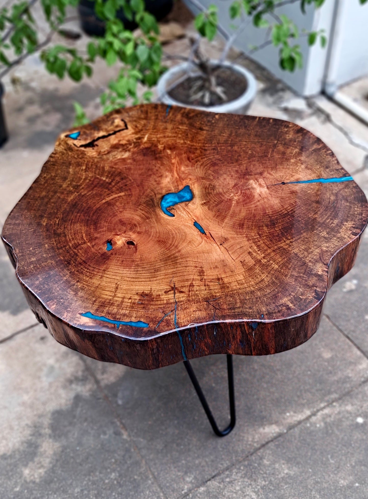 Cerulean Glance - Wooden Cookie Table